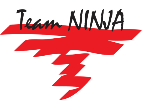 Team Ninja